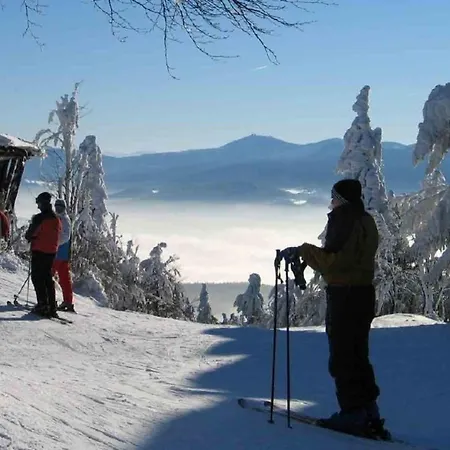Geraeumiges In Rittsteig Mit Terrasse, Garten Und Grill Dom wakacyjny *